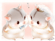 なにこれかわいい 動物 ハムスター Pixiv年鑑 B