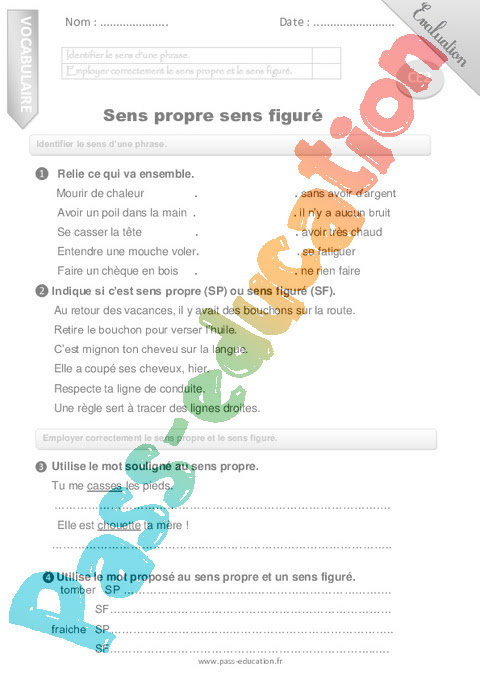 Vocabulaire  CE2  Cycle 2  Exercice évaluation révision leçon  Pass