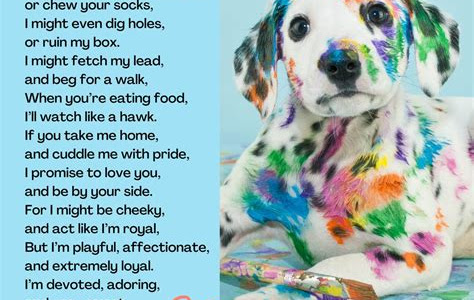 Download EPUB poem from dogs to fathet Download Links PDF