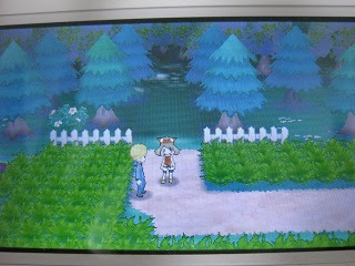 図鑑ナビサーチのコツ 虹色ピース