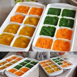 Baby Food Budget For Baby