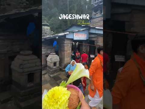 चित्र