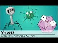 Download Replication In Animal Viruses Worksheet Answers Images