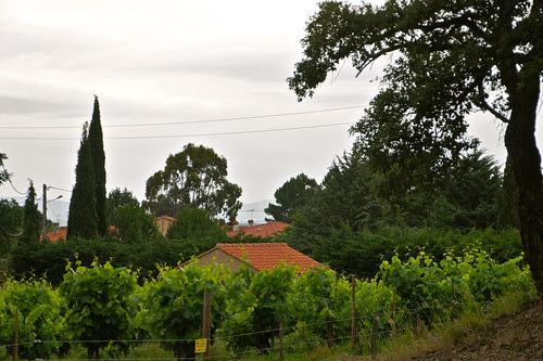 DSC07679