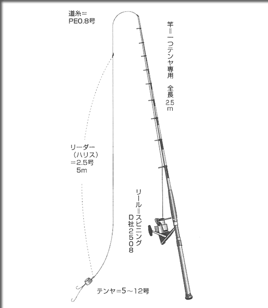 神奈川県 葉山 釣り船福栄丸 相模湾のマダイ釣り 仕掛け図マダイ