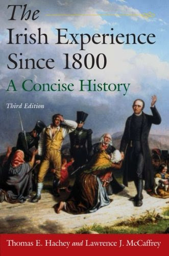 The Irish Experience Since 1800: A Concise HistoryBy Thomas E. Hachey, Lawrence J. McCaffrey