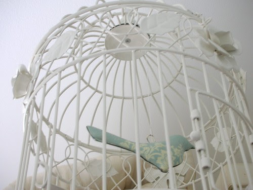 Bird Cage!