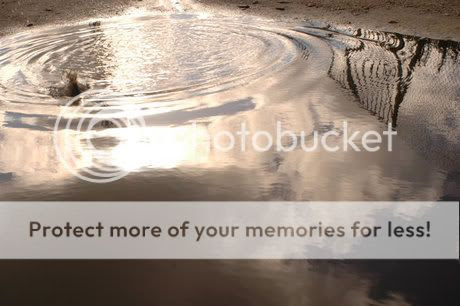 Photobucket - Video and Image Hosting