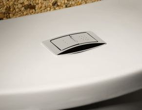 H2Option dual flush button