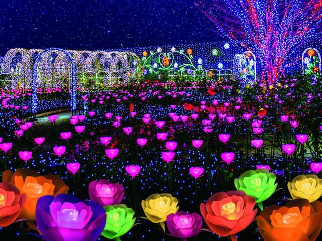 365日 関東の花の名所 お花畑やお花見スポットランキング どこココ 人気旅ライターが厳選 関東 エリアで遊ぶ 楽しむ厳選お出かけ情報ランキング 観光やグルメ 人気穴場スポットをお届け