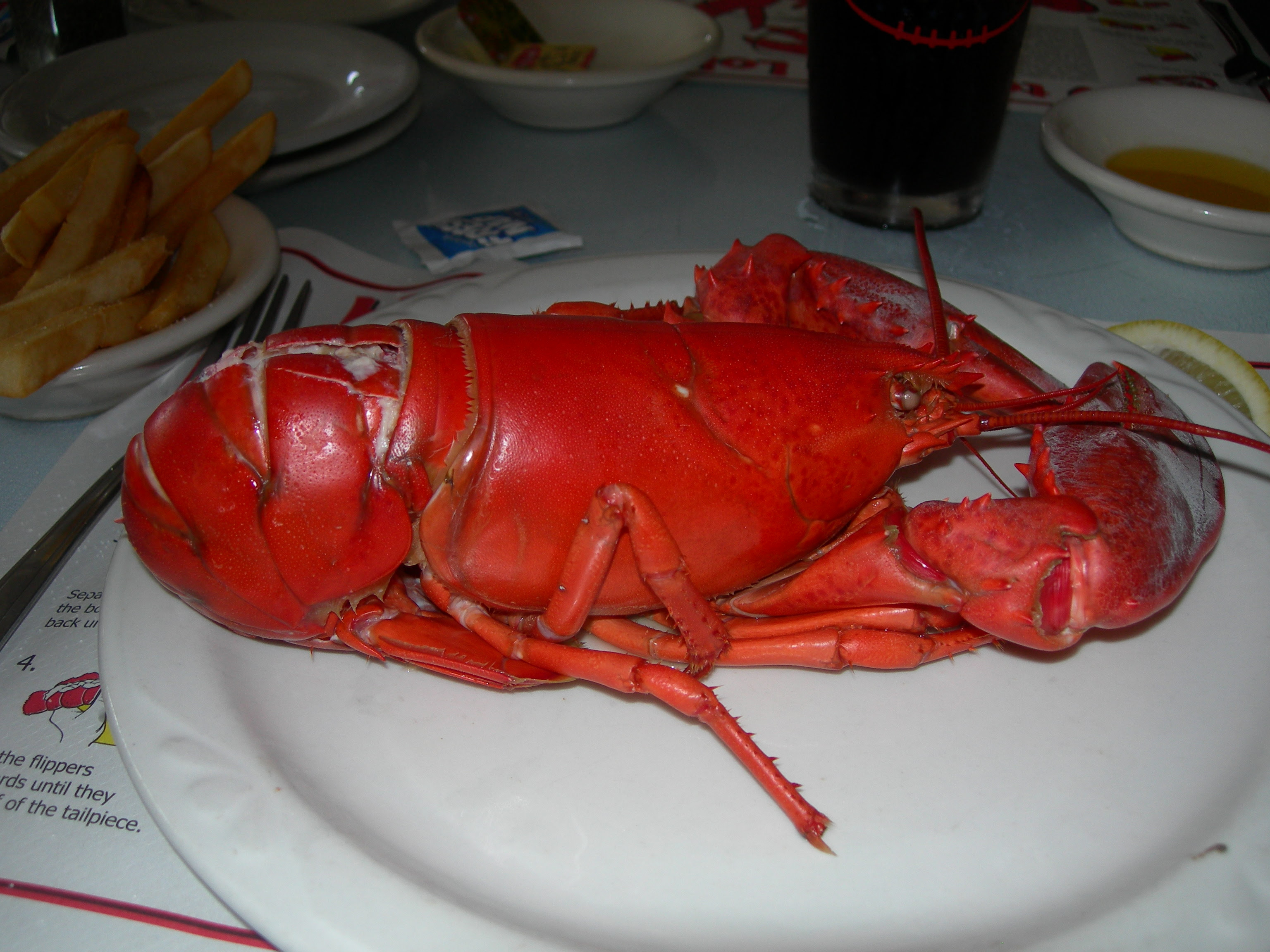 Vox Hunt: Eat What You Want