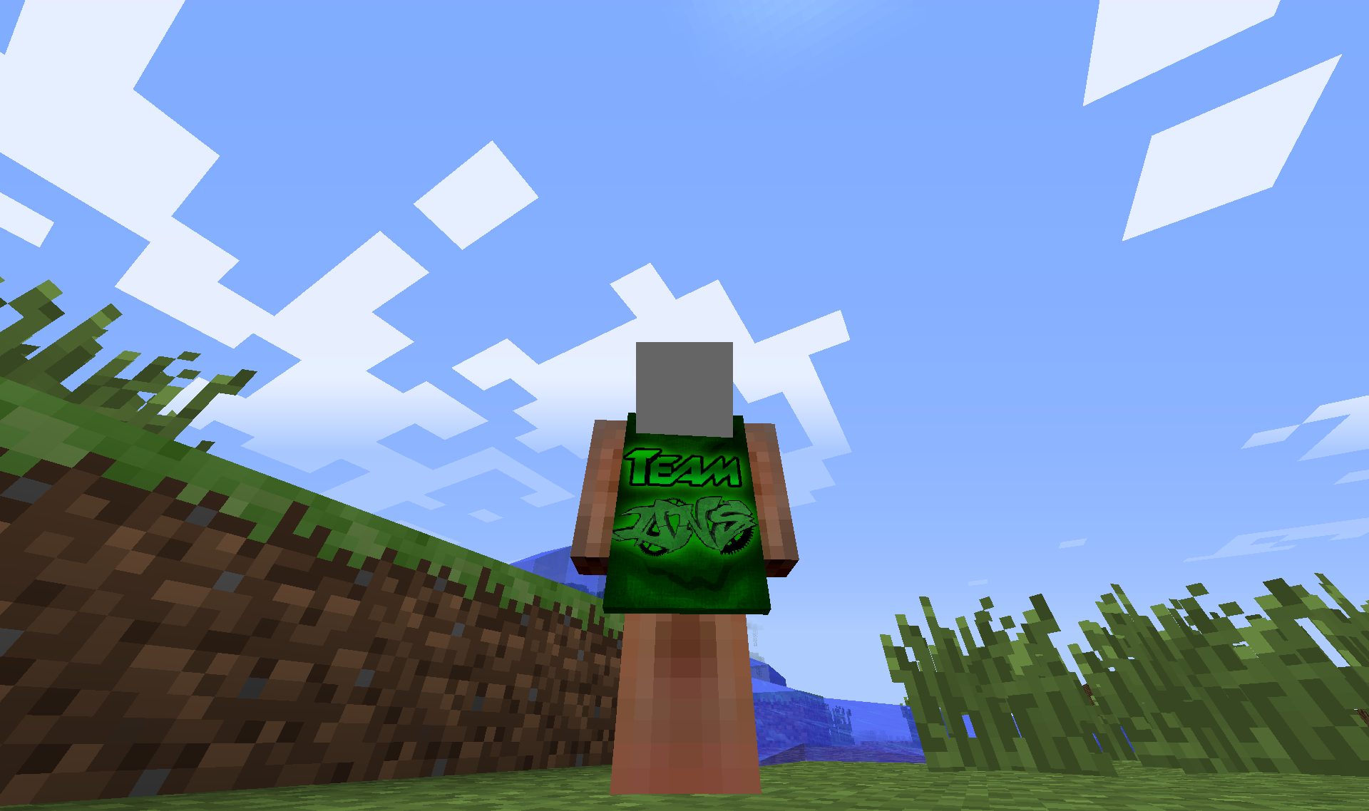DNS_Inc's Profile - Member List - Minecraft Forum