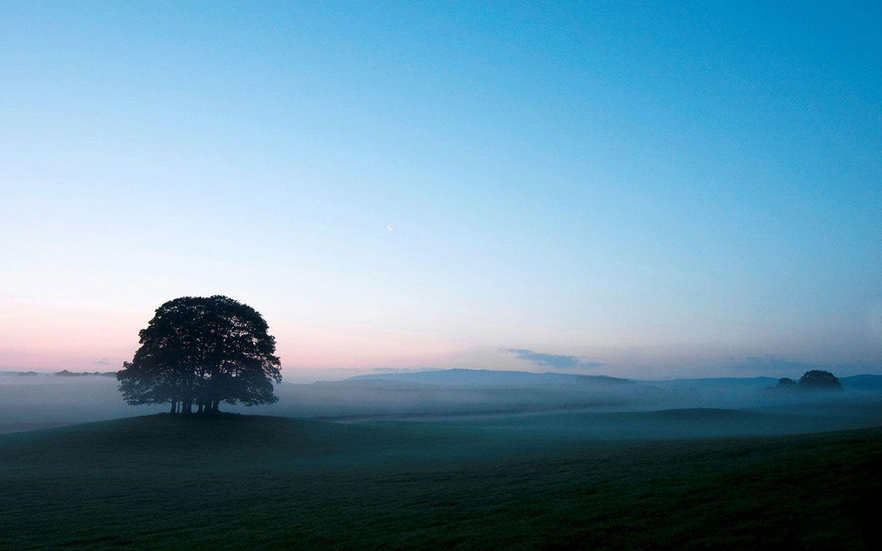 aesthetic landscape wallpapers desktop backgrounds wallpapercave fog