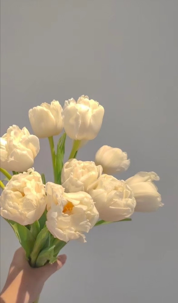 Ins风花束图片 万图壁纸网