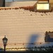 PAULA LLOVERAS _ SUNLIGHT (13)