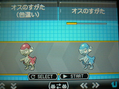 よもぎの色ポケコレクションブログ ズガイドス