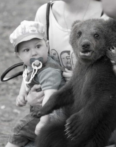 baby & bear