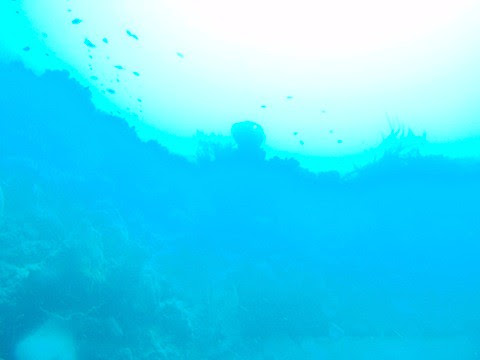 PA290075.JPG