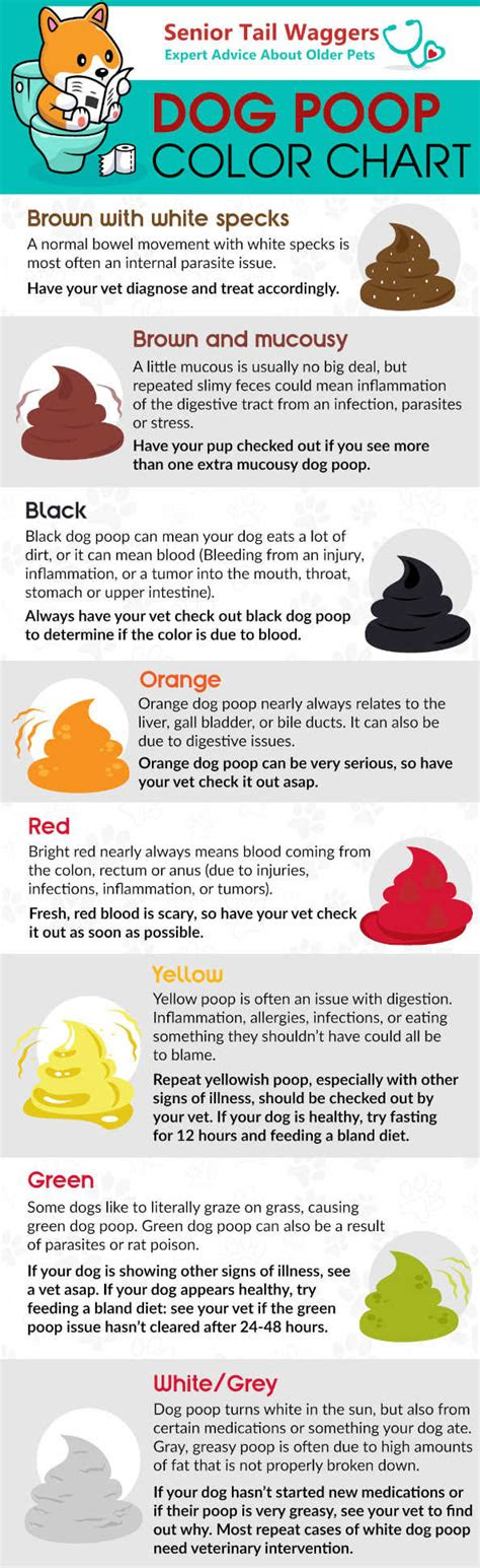 Web3 days ago · all shades of brown and even green are considered typical. what are white things in dog poop