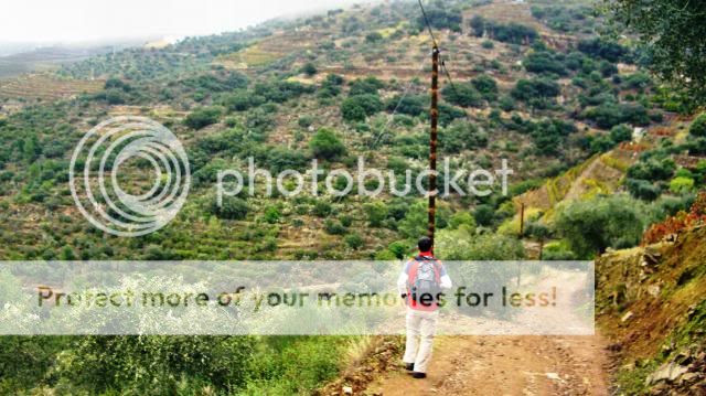 photo CIMG1364_zpsf67ea321.jpg