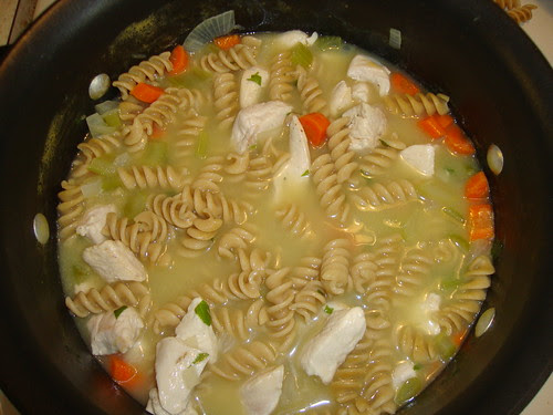 chicken noodle soup