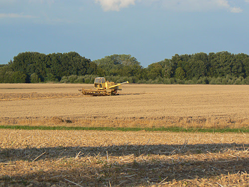 bourgogne, travaux des champs 1.jpg