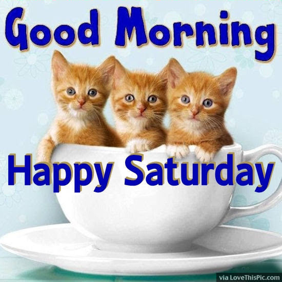 201283 Good Morning Happy Saturday