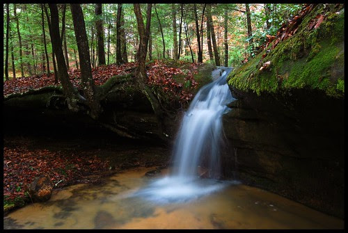 Small Falls in the Wilderness.