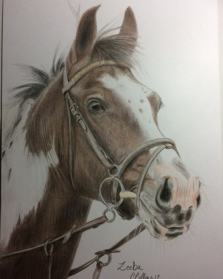 Horse Drawing Realistic at GetDrawings | Free download