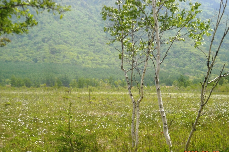 f:id:takagi-namako:20120615112052j:image