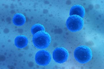 Stem cells.