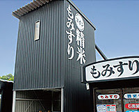 Jyoifull2