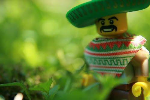 Senor Funtimes