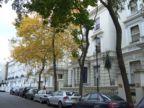 rue chic notting hill.jpg