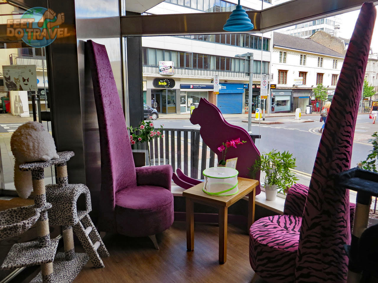 Cat Cafe Comparison FeetDoTravel Cat Cafe Comparison FeetDoTravel