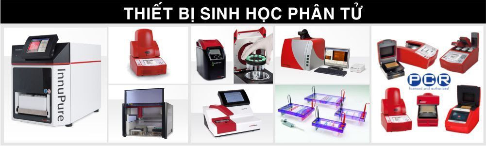 quà tết rượu ngoại