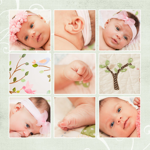 12x12 Brielle Collage