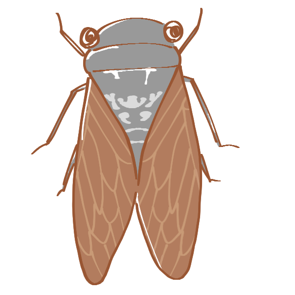 蝉のイラスト かわいいフリー素材が無料のイラストレイン