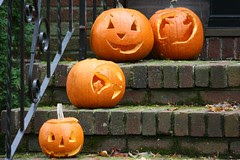 pumpkin 039