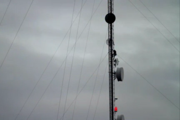 cell tower deaths