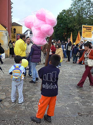 barbe à papa san cristobal.jpg