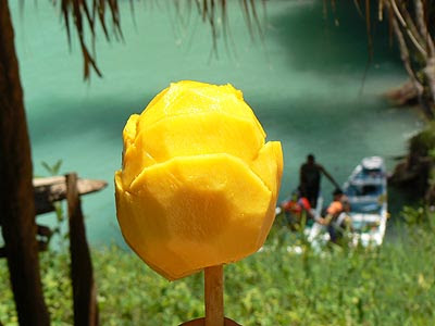 mangue.jpg