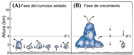Figura 19 (Haga click aquí para agrandar la imagen)
