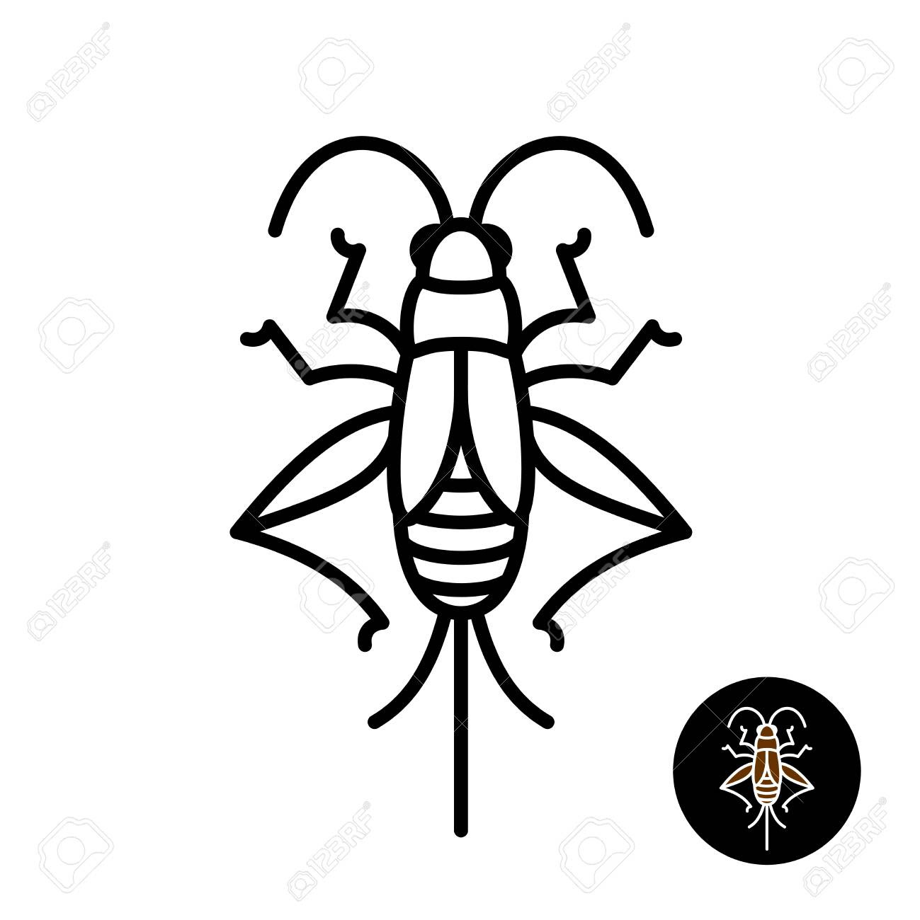 1299x1300 Cricket Insect Stylized. Grashopper Relative Bug Linear Style