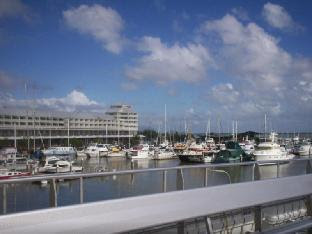 Waterfront Terraces Apartments