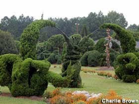 972 New topiary garden in south carolina 977 Bishopville, South Carolina : Pearl Fryar's Topiary Garden 
