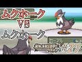いろいろ イラスト ムクホーク 色 違い 338261