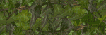 MY STORE-IVY SCRAPS