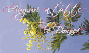 Pasticcigrafici -Stexillusion's