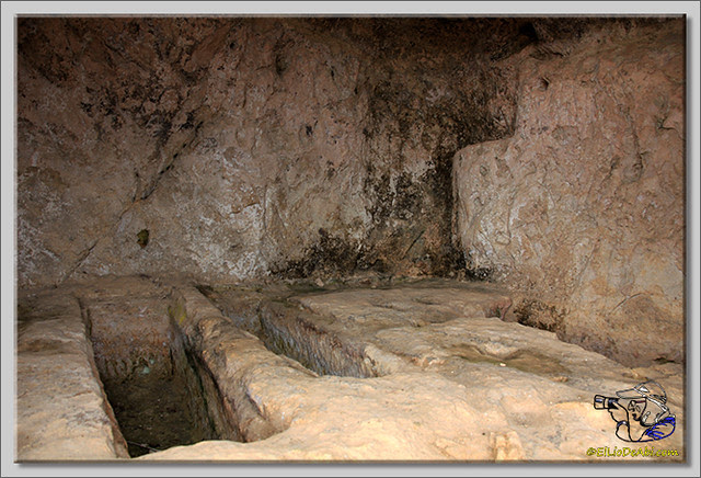 Gobas de Laño (6)